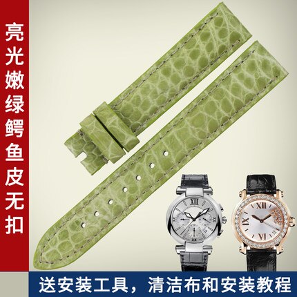 Colors Alligator Crocodile Leather Ladies Watches